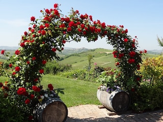 Ferienwohnung Nizza Monferrato Umgebung 4