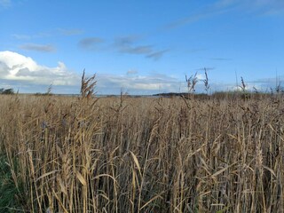 Ferienhaus Lemvig  19