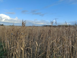 Vakantiehuis Lemvig  19