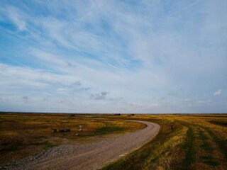 Holiday house Lemvig  20