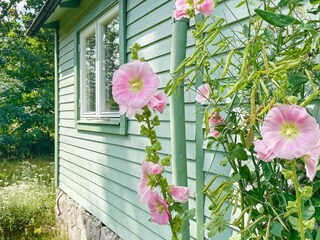 Holiday house Söderåkra Outdoor Recording 3