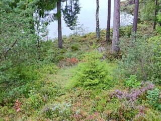 Holiday house Tostared  19