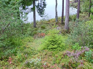 Ferienhaus Tostared  23