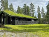 Ferienhaus Hemsedal Außenaufnahme 1