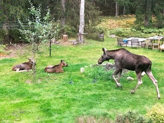 Vakantiehuis Värmdö Buitenaudio-opname 4