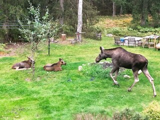 Vakantiehuis Värmdö Buitenaudio-opname 6