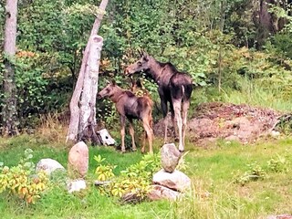 Vakantiehuis Värmdö Buitenaudio-opname 13