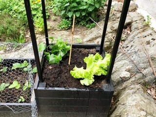 Vakantiehuis Värmdö Buitenaudio-opname 18