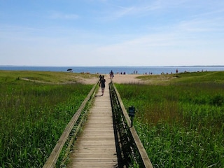 Ferienhaus Sønderballe Außenaufnahme 5