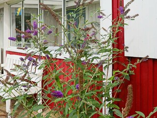 Vakantiehuis Laholm Buitenaudio-opname 8