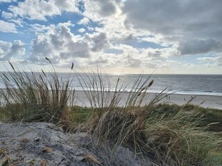 Vakantiehuis Blåvand  33