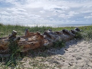 Vakantiehuis Blåvand  39