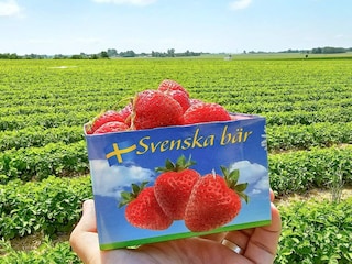 Casa per le vacanze Kivik  29