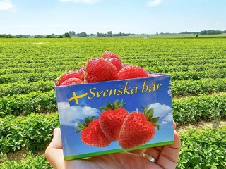 Maison de vacances Kivik  24