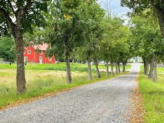 Ferienhaus Pålsboda Außenaufnahme 3