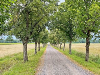 Vakantiehuis Pålsboda  7