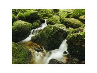 Holiday house Sasbachwalden Environment 33