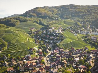 Holiday house Sasbachwalden Environment 30