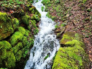 Waldbach