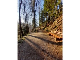 Traumhafte Wege