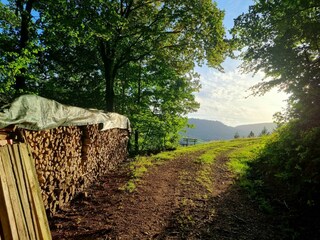 Holiday apartment Bad Peterstal-Griesbach Outdoor Recording 8