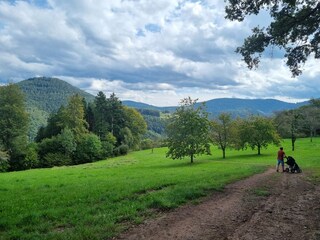 Ausblick Urban Kreuz auf dem Schwarzwaldsteig