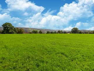 Vakantiehuis Stavelot Buitenaudio-opname 11