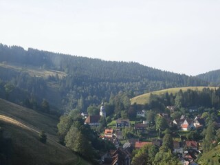 Apartment Wildemann Umgebung 28