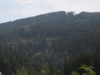 Apartment Wildemann Umgebung 35