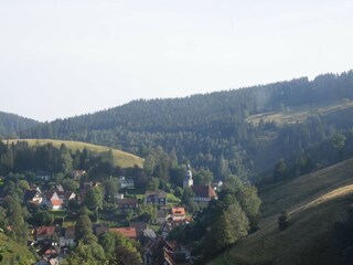Apartment Wildemann Umgebung 30