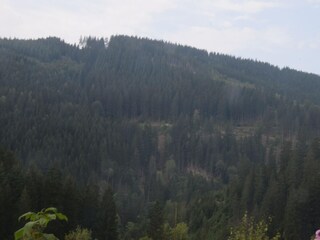 Appartamento Wildemann Ambiente 36