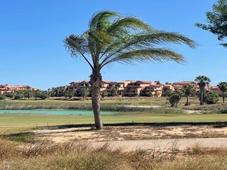 Apartment Torre Pacheco Environment 32