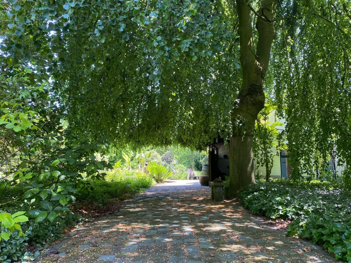 Ferienhaus Heeze-Leende Außenaufnahme 13