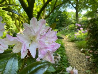 Vakantiehuis Heeze-Leende  40