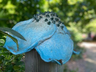 Maison de vacances Heeze-Leende  39