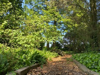 Maison de vacances Heeze-Leende Enregistrement extérieur 7