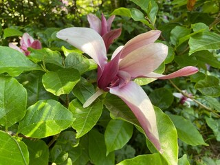 Casa per le vacanze Heeze-Leende  36