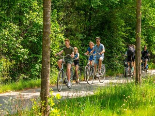 Vakantiepark Arnhem  40