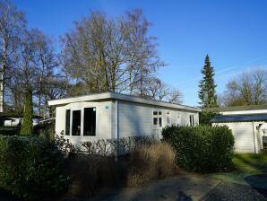 Nice chalet in a holiday park, adjacent to the Hoge Veluwe National Park - Arnhem - image1