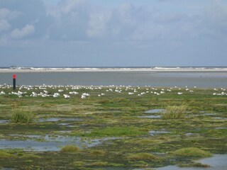 Appartamento per vacanze Buren Ambiente 23