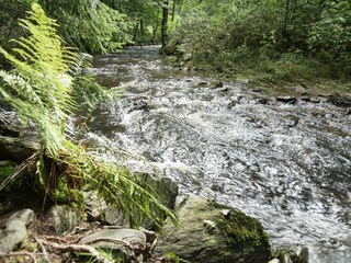 Casa per le vacanze Deutschneudorf  40