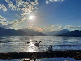 Maison de vacances Laveno-Mombello Environnement 32