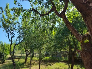 Casa de vacaciones Unterweid Grabación al aire libre 2