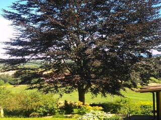 Vakantiehuis Unterweid Omgeving 37