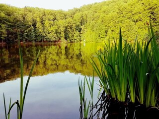 Maison de vacances Unterweid Environnement 26