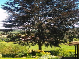 Vakantiehuis Unterweid Omgeving 29