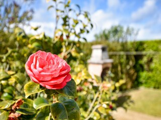 Casa per le vacanze Portsall  26