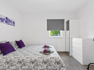 Villa Tinjan Caratteristiche 36