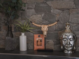 Villa Rijs Caratteristiche 25
