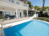 Saltwater pool of the villa